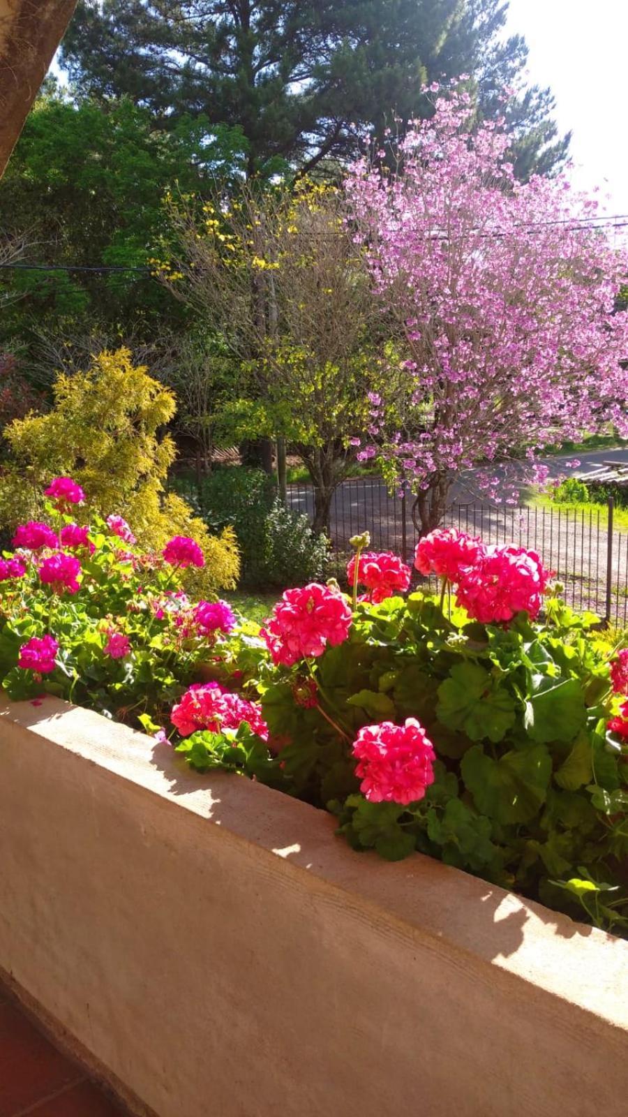 La Casona Del Lago Balneario Ipora Luaran gambar
